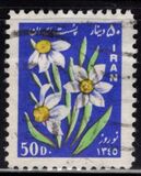 [Iranian New Year, type BKA]