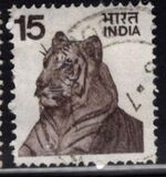 [Local Motifs, סוג QO]