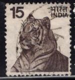 [Local Motifs, סוג QO]