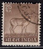 [Spotted Deer, type PE]