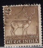 [Spotted Deer, type PE]