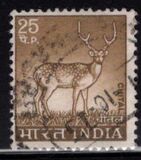 [Spotted Deer, type PE]