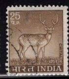[Spotted Deer, type PE]