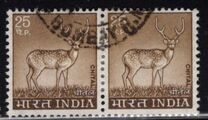 [Spotted Deer, type PE]