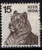 [Local Motifs, סוג QO]