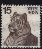 [Local Motifs, סוג QO]