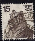 [Local Motifs, סוג QO]