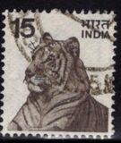 [Local Motifs, סוג QO]