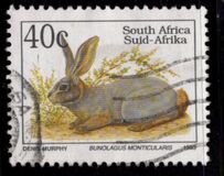 [Endangered Fauna, typ ADT]
