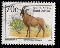 [Endangered Fauna, typ ADY]