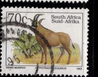 [Endangered Fauna, typ ADY]