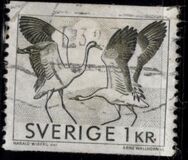 [Canal and Crane Dance, type HK]