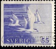[Birds - Refugee Relief, typ KU2]