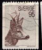 [European Roe Deer, tyyppi MK]