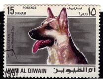 [Dogs, tip HB]