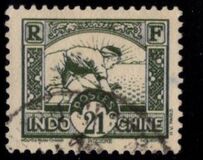[Rice Sowing, loại AG7]