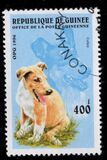 [Dogs, タイプ ASI]