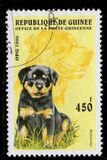 [Dogs, タイプ ASJ]