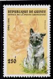 [Dogs, タイプ ASG]
