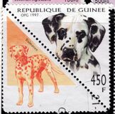 [Dogs, Tipe AVH]