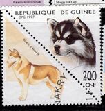 [Dogs, Tipe AVD]