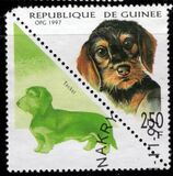 [Dogs, Tipe AVE]