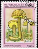 [Fungi, type ARD]