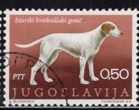 [Dog Breeds, type BDN]
