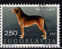[Dog Breeds, type BDQ]