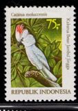 [Cockatoos, type ANA]