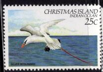 [Birds, тып EN]