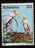 [Vogels, type KU]