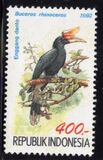 [Birds, τύπος BCK]