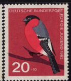 [Für die Jugend, Typ HV]