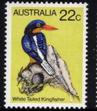 [Birds, tip TW]