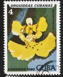 [Orchids, type DAT]