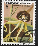 [Orchids, tip DAU]