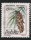 [Stamp Issues for Postcards: Pine Trees, වර්ගය DER]