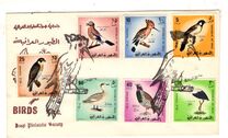 [Iraqi Birds, type FZ]