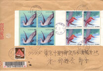 [Water Birds - White-faced shearwater & Ruddy kingfisher, Typ CJS]