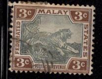 [Tiger, 类型 C1]