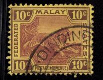 [Tiger - Different Watermark, type C54]