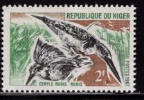 [Birds, Вид EG]