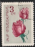 [Roses, тып APC]