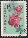 [Roses, тып APB1]