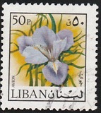 [Airmail - Flowers and Fruits, Tip TQ]