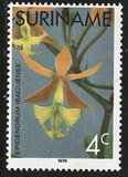 [Surinam Orchids, 유형 AGF]