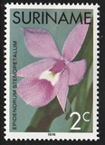 [Surinam Orchids, 유형 AGD]