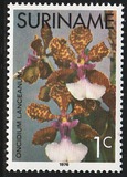 [Surinam Orchids, 유형 AGC]