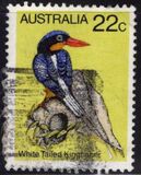 [Birds, tip TW]